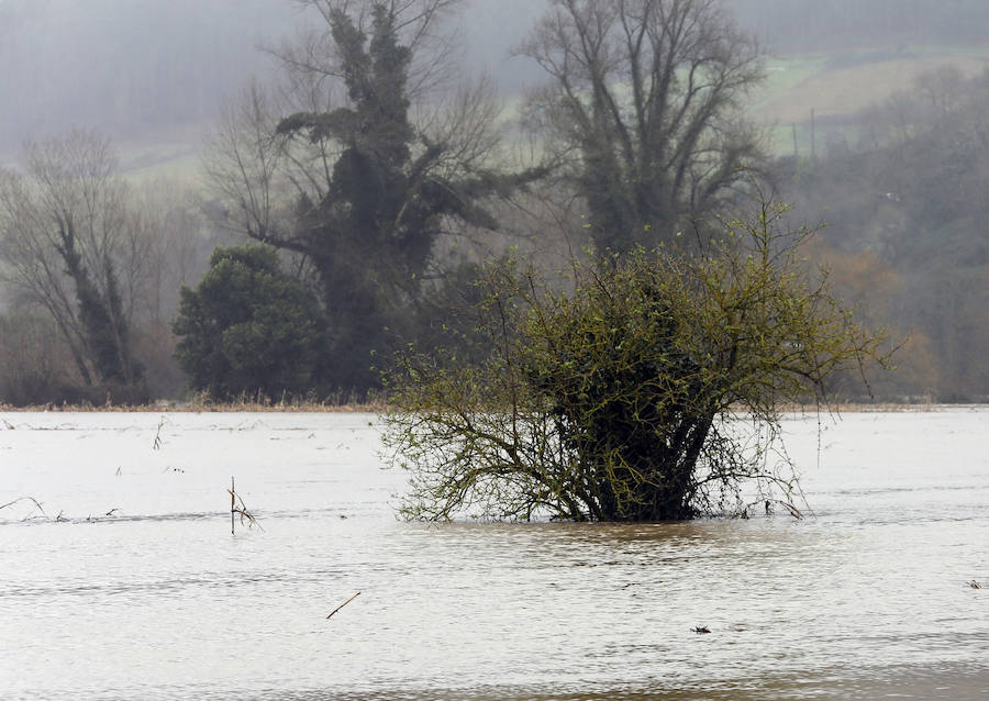 Las fuertes lluvias provocan el desbordamiento de estos dos ríos