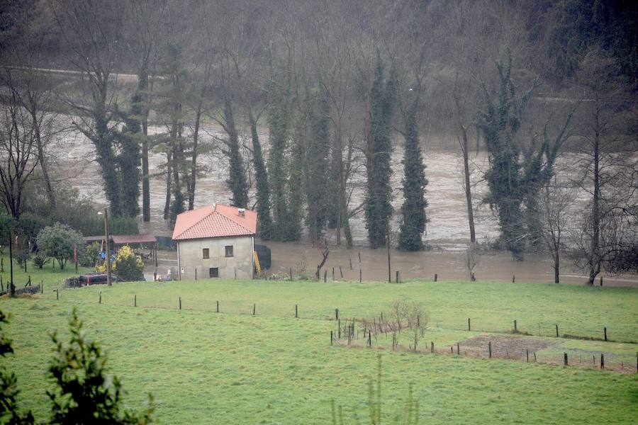 El río Trubia está desbordado en varios puntos, las alcantarillas anegadas y los portales de planta baja del grupo Coronel Baeza cubiertos de agua. Son algunas de las incidencias. 