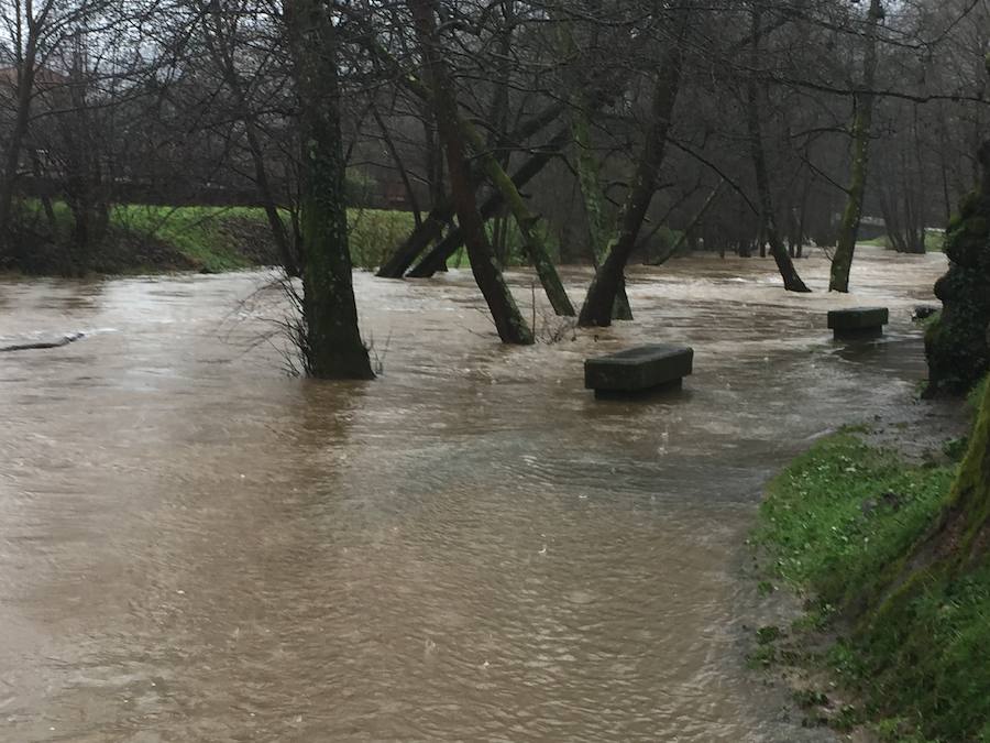 Cuatro ríos de la región permanecen en alerta ante la incesantes precipitaciones y el Principado ha activado el plan de inundaciones ante el temporal.