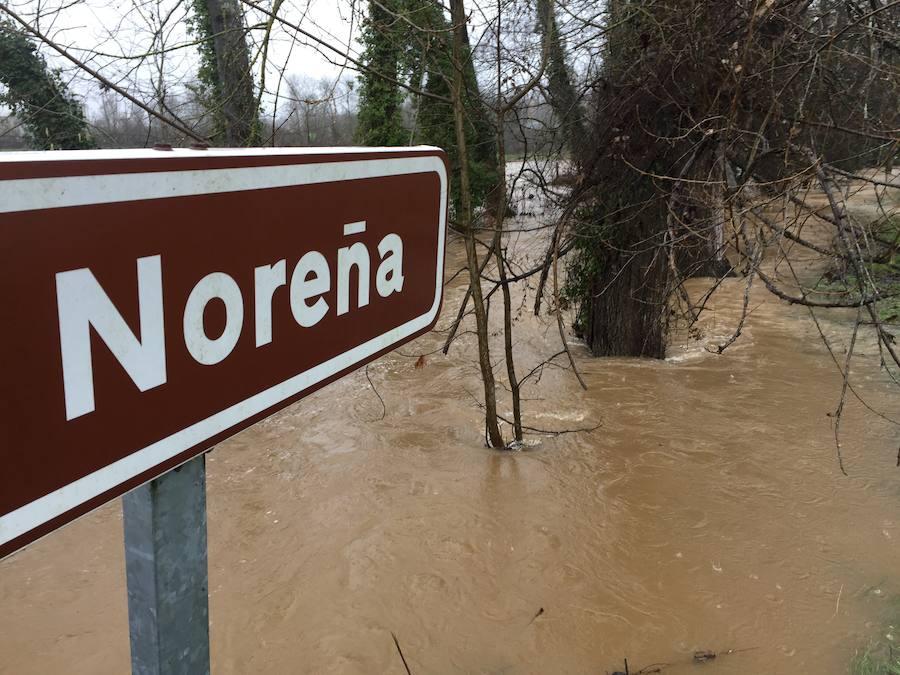 Cuatro ríos de la región permanecen en alerta ante la incesantes precipitaciones y el Principado ha activado el plan de inundaciones ante el temporal.