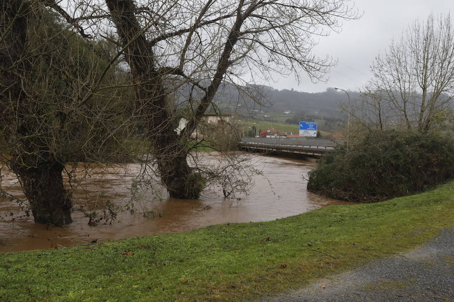 El río Linares se ha desbordado a su paso por La Barquerina obligando a cortar la circulación por la zona. Es alguno de los múltiples incidentes que registra la villa