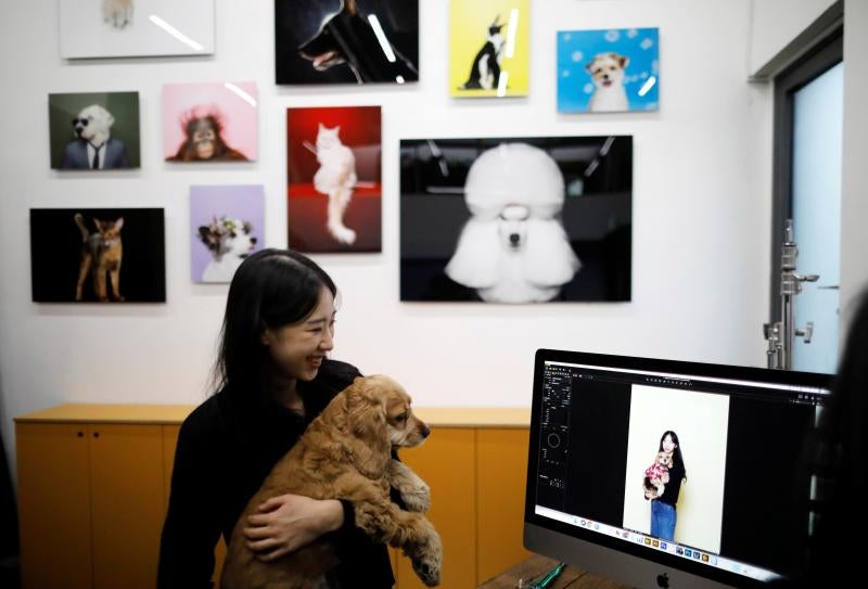 Sucede en Corea del Sur. Un país donde la industria en relación a los animales de compañía ha crecido impulsada por los mismos factores que han hecho descender la tasa de natalidad al nivel más bajo del mundo: el elevado coste de la educación y la vivienda y las jornadas laborales extremadamente largas. Los hogares que poseen mascotas aumentaron un 28 % en 2018. Las ofertas de las compañías para su cuidado incluyen dietas personalizadas, sesiones fotográficas y hasta funerales.