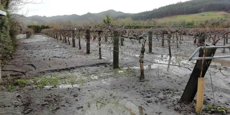 Las fuertes lluvias dejaron los cultivos cubiertos de fango y restos de plásticos y la maquinaria inservible