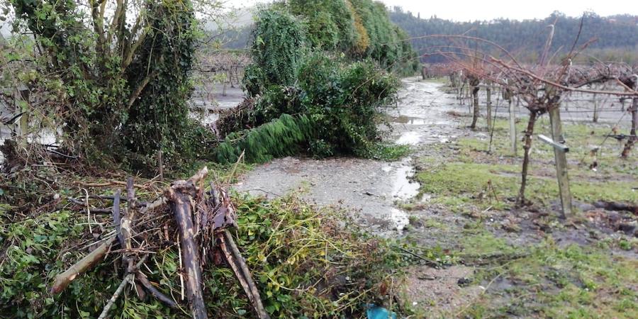 Las fuertes lluvias dejaron los cultivos cubiertos de fango y restos de plásticos y la maquinaria inservible