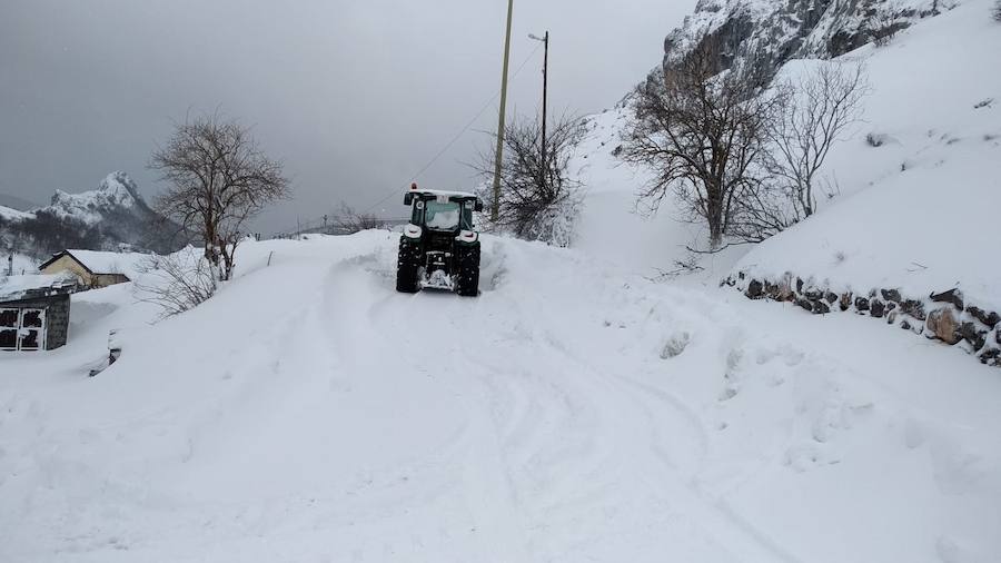 Las intensas nevadas que está dejando la borrasca 'Helena' a su paso por Asturias está complicando mucho la circulación por carretera, en especial, en los puertos de montaña. De hecho, se ha llegado a restringir el paso de camiones por Pajares y el Huerna y varios altos se han cerrado a todo tipo de vehículos. La nieve ha llegado incluso a la capital asturiana, que ha amanecido bajo un manto blanco. En otros puntos de la región, como Gijón, ha sido el granizo lo que ha cubierto de blanco las calles.