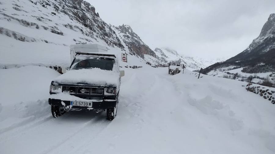 Las intensas nevadas que está dejando la borrasca 'Helena' a su paso por Asturias está complicando mucho la circulación por carretera, en especial, en los puertos de montaña. De hecho, se ha llegado a restringir el paso de camiones por Pajares y el Huerna y varios altos se han cerrado a todo tipo de vehículos. La nieve ha llegado incluso a la capital asturiana, que ha amanecido bajo un manto blanco. En otros puntos de la región, como Gijón, ha sido el granizo lo que ha cubierto de blanco las calles.