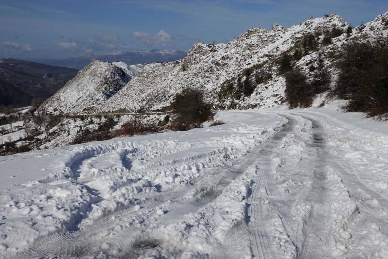 Las intensas nevadas han permitido incluso a algunos disfrutar de la nieve con sus esquís.