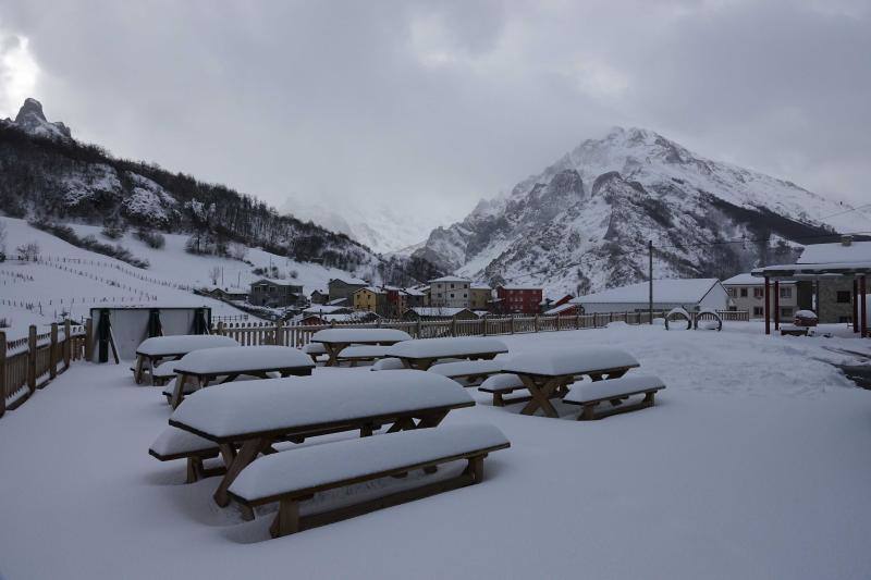 Las intensas nevadas que está dejando la borrasca 'Helena' a su paso por Asturias está complicando mucho la circulación por carretera, en especial, en los puertos de montaña. De hecho, se ha llegado a restringir el paso de camiones por Pajares y el Huerna y varios altos se han cerrado a todo tipo de vehículos. La nieve ha llegado incluso a la capital asturiana, que ha amanecido bajo un manto blanco. En otros puntos de la región, como Gijón, ha sido el granizo lo que ha cubierto de blanco las calles.