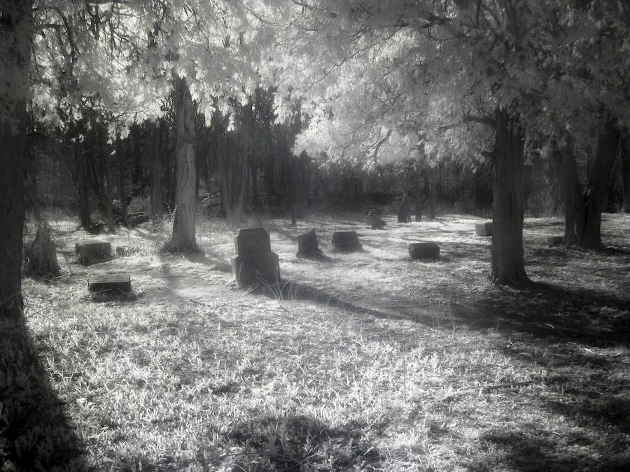 Cementerio de Bachelor's Grove (Chicago)