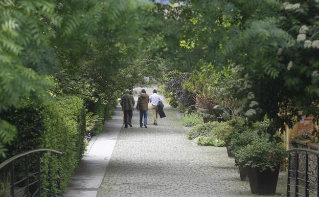 Jardín Botánico Atlántico de Gijón. 