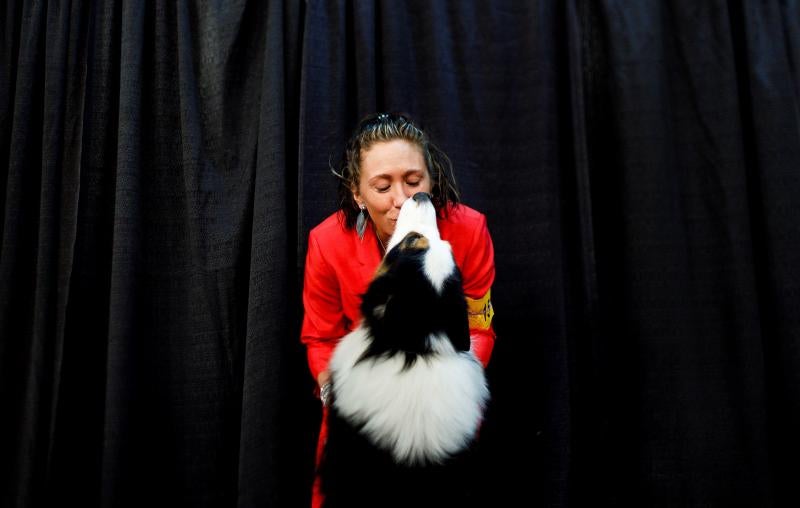 El Westminster Kennel Club, el certamen más antiguo de perros de pura raza de Estados Unidos, llega a su 143 edición con un su habitual alarde de elegancia y belleza entre los participantes. 