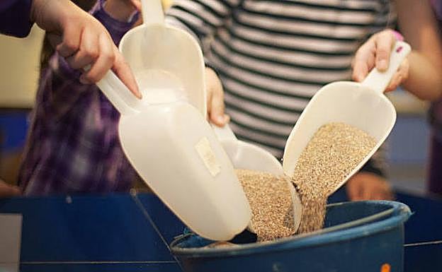 Participantes en la visita-taller 'Paleontólogo por un día' del MUJA.