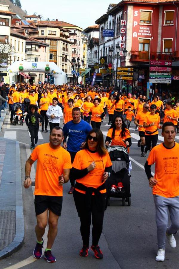 También en Cangas de Onís han respondido a la llamada de la Asociación Galbán.