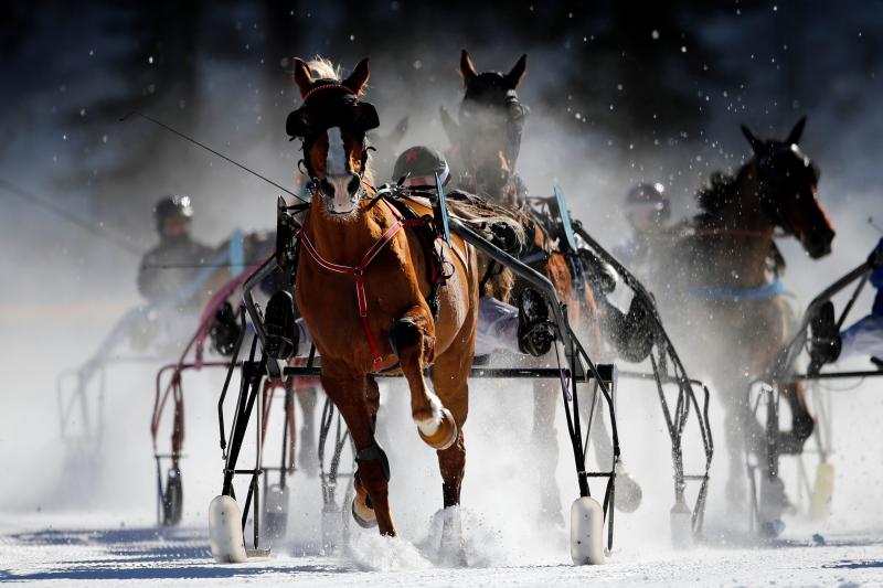 Berrahri, entrenado por John Best y montado por Raphael Lingg, se impone en la White Turf horse celebrada en la estación de esquí de Saint Moritz, en Suiza