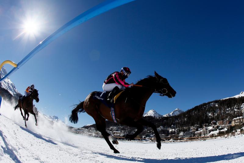 Berrahri, entrenado por John Best y montado por Raphael Lingg, se impone en la White Turf horse celebrada en la estación de esquí de Saint Moritz, en Suiza