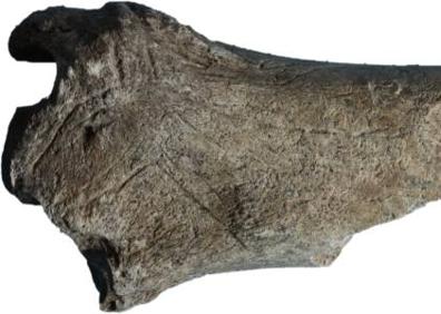 Imagen secundaria 1 - Más allá de Tito Bustillo