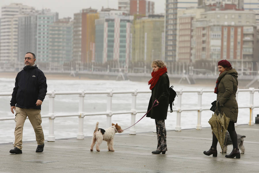 La Aemet tiene activado hasta esta medianoche el aviso amarillo por nevadas en la zona suroccidental, Picos de Europa y el resto de la cordillera, con acumulaciones de cinco centímetros, y por olas de hasta cinco metros. Un contraste total con los más de 20 grados que se registraron este fin de semana