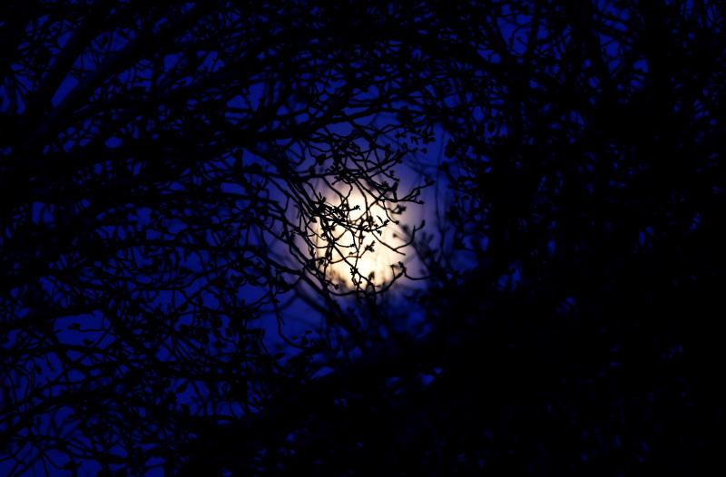 La luna llena vista desde Alicante.