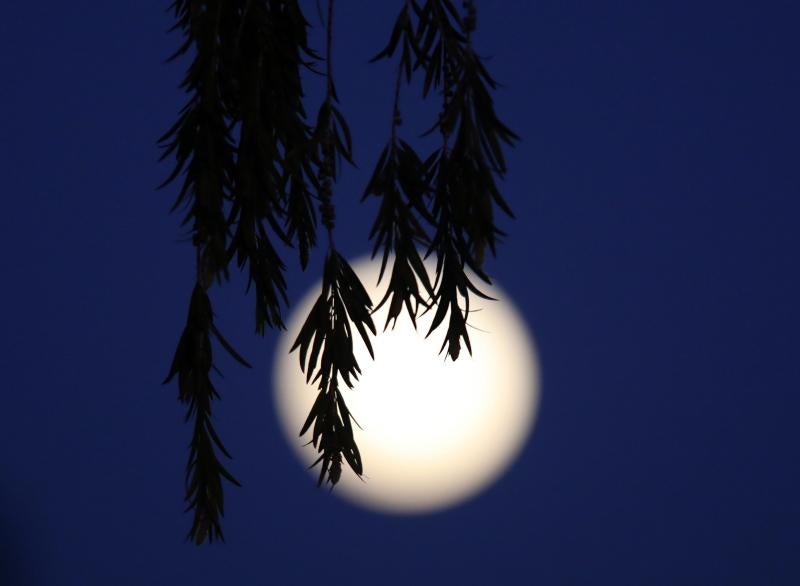 La luna llena vista desde Chipre.