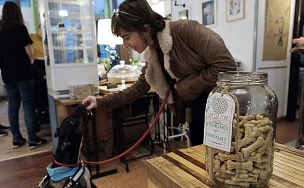 Un perro cuesta hasta 141 euros al mes