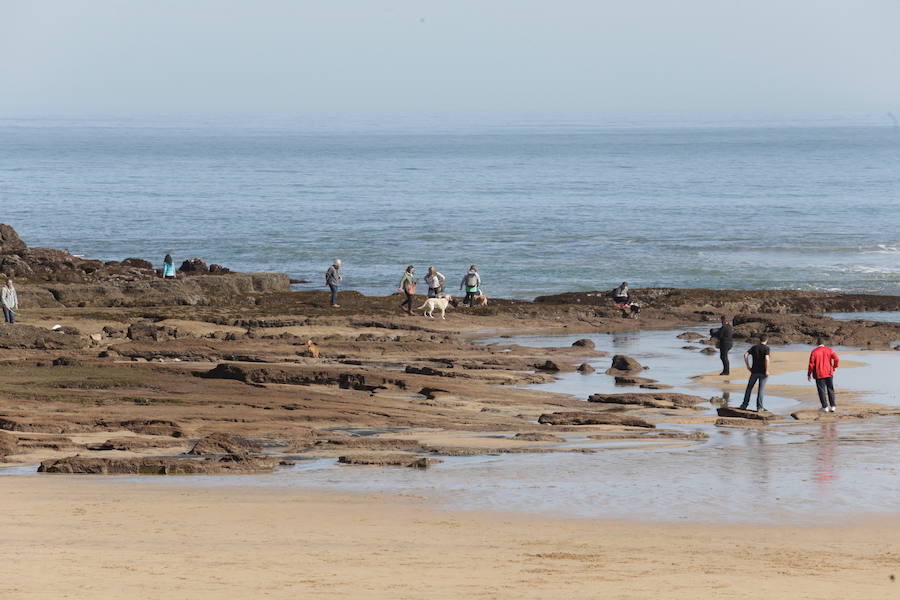 Decenas de personas se animaron a pasear por la Playa de San Lorenzo, bajo el sol y por la gran extensión de arena que dejó la bajamar