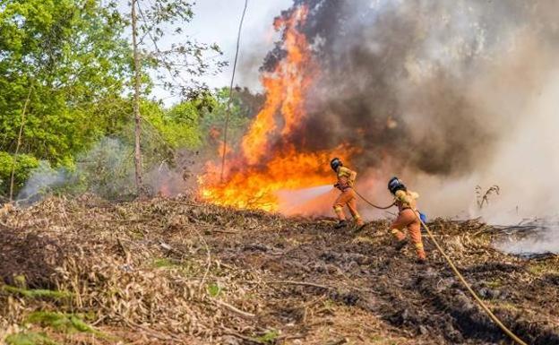 El riesgo de incendios forestales será hoy «muy alto» en toda la región