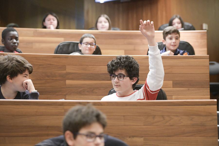 Sesenta alumnos Educación Infantil y Primaria de los colegios Lorenzo Novo Mier y Veneranda Manzano de Oviedo han participado en un Pleno en la Junta General en el que han reflexionado sobre la igualdad. La iniciativa forma parte del programa 'Abraza tus valores' de Aldeas Infantiles SOS.