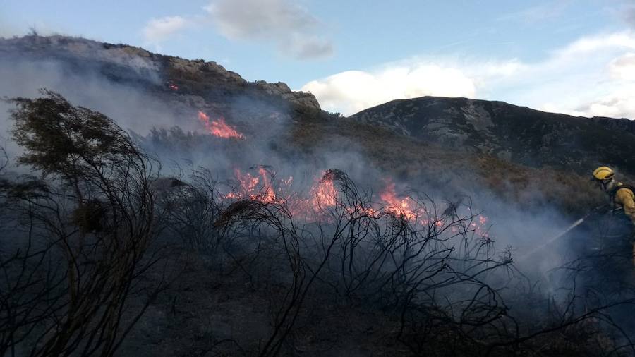 Una intensa oleada de incendios obliga a Asturias a solicitar la intervención del Ejército.