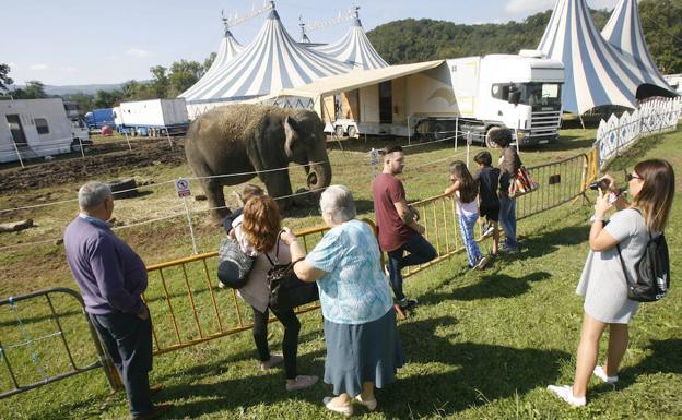 Un elefante en un circo en Villaviciosa. 