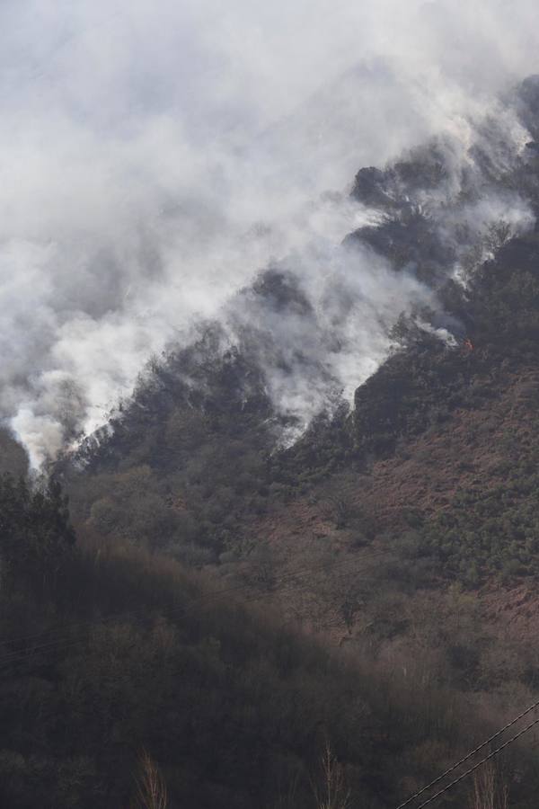 Fotos: Las imágenes que deja el fuego en Soto de los Infantes, en Salas