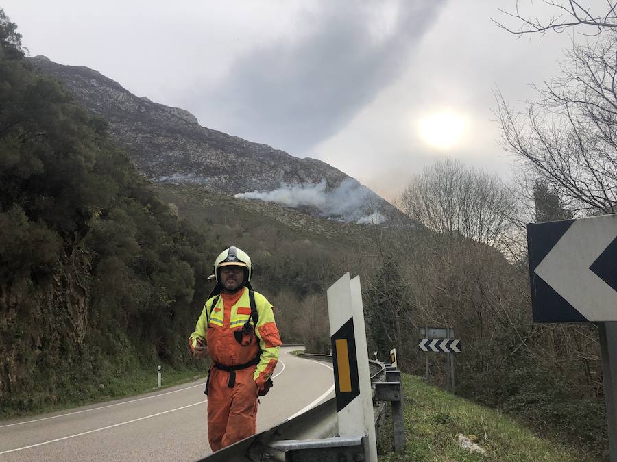 Fotos: Los incendios azotan el oriente asturiano