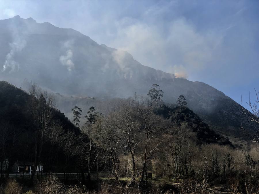 Fotos: Los incendios azotan el oriente asturiano