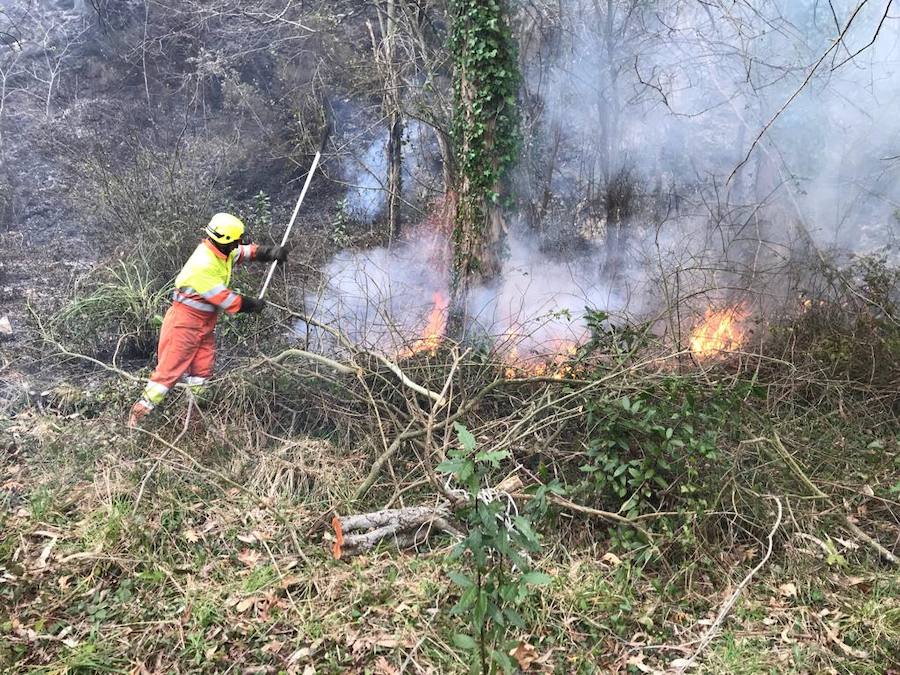 Fotos: Los incendios azotan el oriente asturiano