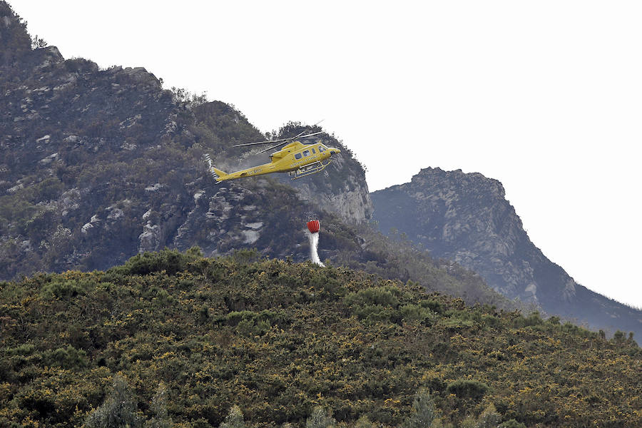 Salas ha sido el concejo que más ha sufrido las consecuencias de unos incendios cuya labor de extinción se complicaba debido al viento.