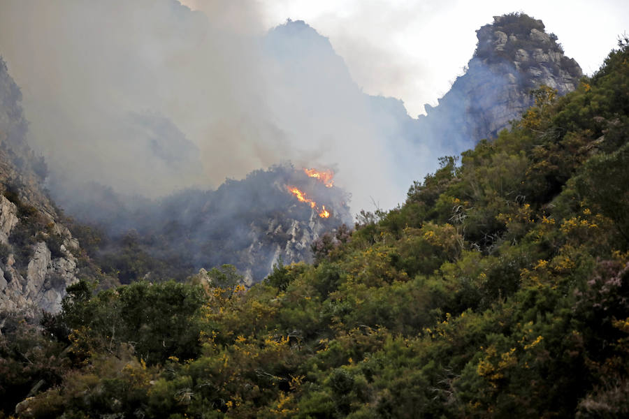 Salas ha sido el concejo que más ha sufrido las consecuencias de unos incendios cuya labor de extinción se complicaba debido al viento.