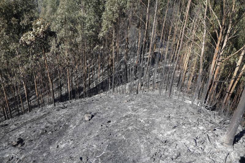 Un helicóptero del SEPA localizó a un incendiario quemando varios puntos del monte del concejo.