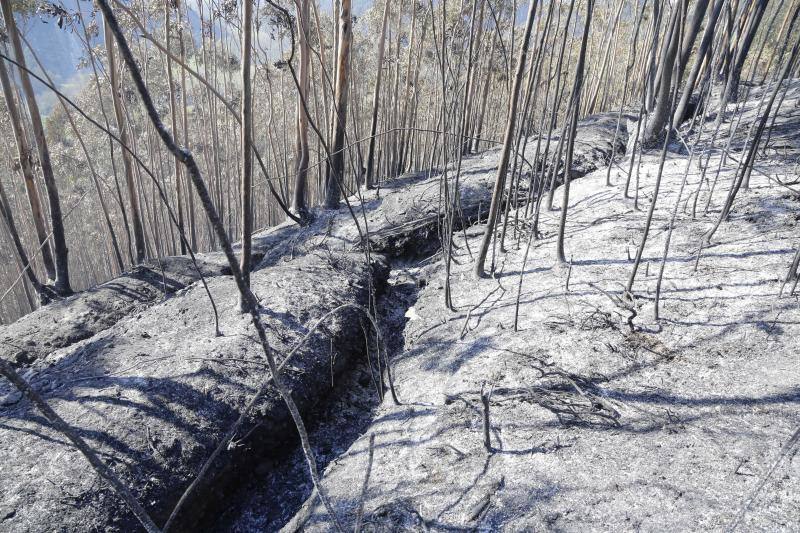 Un helicóptero del SEPA localizó a un incendiario quemando varios puntos del monte del concejo.