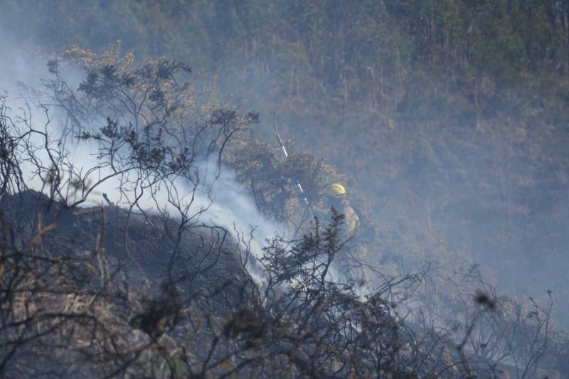 Un helicóptero del SEPA localizó a un incendiario quemando varios puntos del monte del concejo.