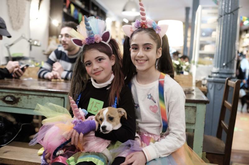 Green Zone acogió un desfile en el que las mascotas lucieron sus propios disfraces de antroxu