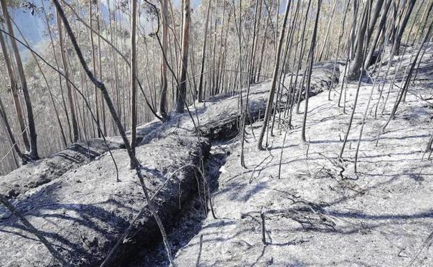 El fuego arrasa la vegetación y deja al descubierto antiguas trincheras de la Guerra Civil