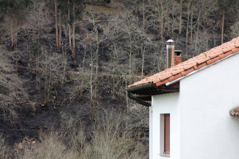 Este es el aspecto que presentaban los concejos del Oriente asturiano tras la oleada de incendios.