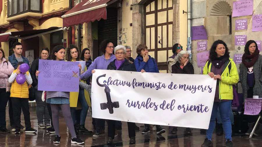 Más de cien colectivos respaldan una jornada reivindicativa en la que se han convocado concentraciones a mediodía ante varios ayuntamientos del Principado y una gran manifestación que partirá de la plaza de toros de Gijón a las 19 horas