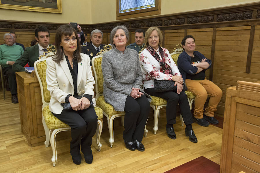 Vicente Álvarez Areces recibió a título póstumo el reconocimientp de Hijo Predilecto de la villa de Gijón. Junto a él se ha distinguido al Hospital de Cabueñes, al que se ha concedido la Medalla de Oro, y cinco personas y entidades galardonadas con sendas medallas de plata: Luis Manuel Flórez García 'Floro', la asociación de Gais, Lesbianas, Transexuales y Bisexuales 'Xega', la Unión de Comerciantes, Tita Caravera, Soledad Lafuente y Luis Miguel Piñera.