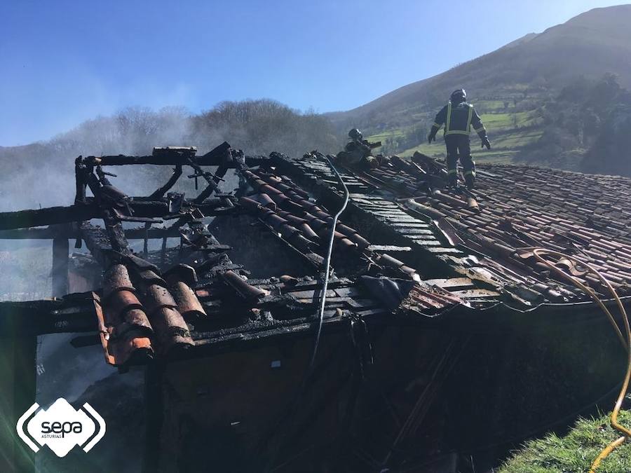 Un hombre resultó quemado levemente en una mano. El fuego calcinó por completo un pajar y afectó también al tejado de la vivienda contigua.