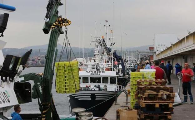 La lonja cierra el peor febrero de su historia con 657.261 kilos subastados