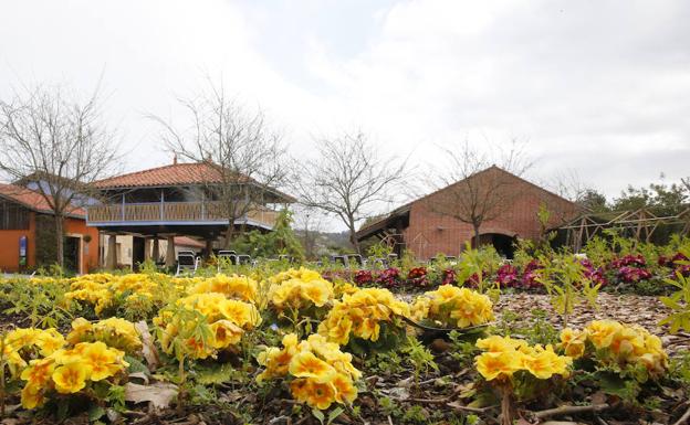 El Jardín Botánico de Gijón, que está totalmente florido, celebra este fin de semana la llegada de la primavera.