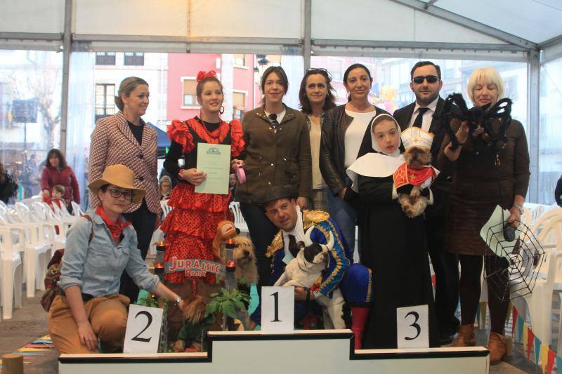 Los animales protagonizaron su propio concurso de disfraces y tuvieron su minuto de gloria en el desfile de la tarde del sábado.