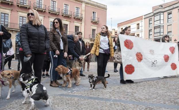 Concentración de repulsa por el veneno en los parques de Gijón