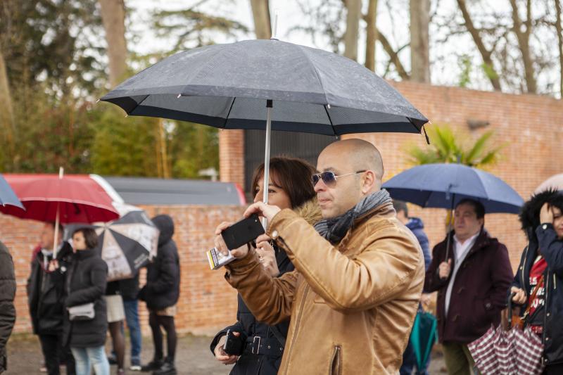 Un paseo en bici desde la plaza Mayor de Gijón, una gincana y una mesa redonda en la que se ha abordado cómo moverse en bici por la ciudad han congregado a un nutrido grupo de personas en el Jardín Botánico, que estos días celebra el equinoccio de primavera. Música, magia y humor han puesto el broche a una jornada que no se ha visto deslucida por la incesante lluvia. 