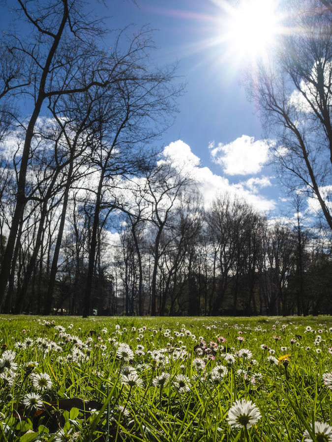 El pronóstico de Aemet para el inicio de abril en la región es de poca lluvia y temperaturas normales.